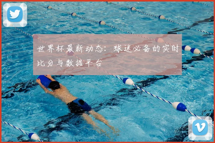 世界杯最新动态：球迷必备的实时比分与数据平台